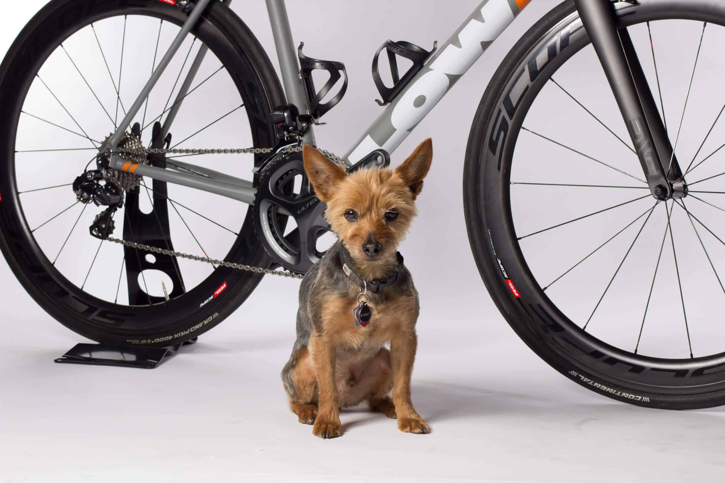 Low bike frame discount