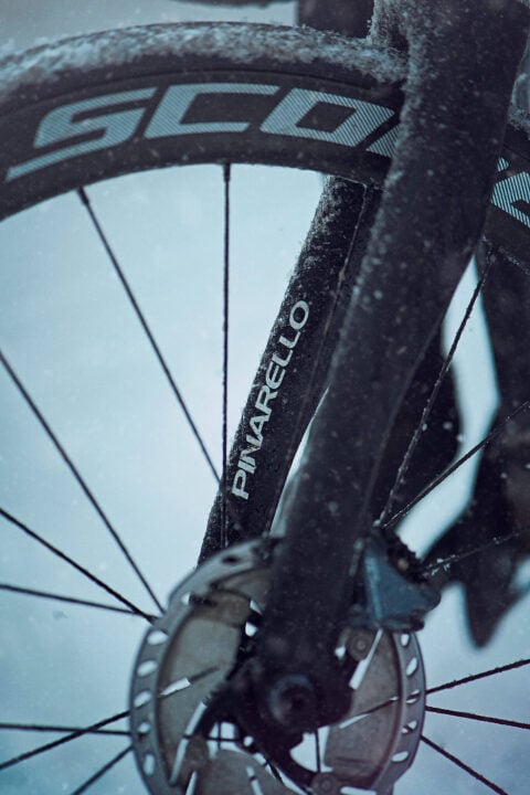 Pinarello serial number lookup
