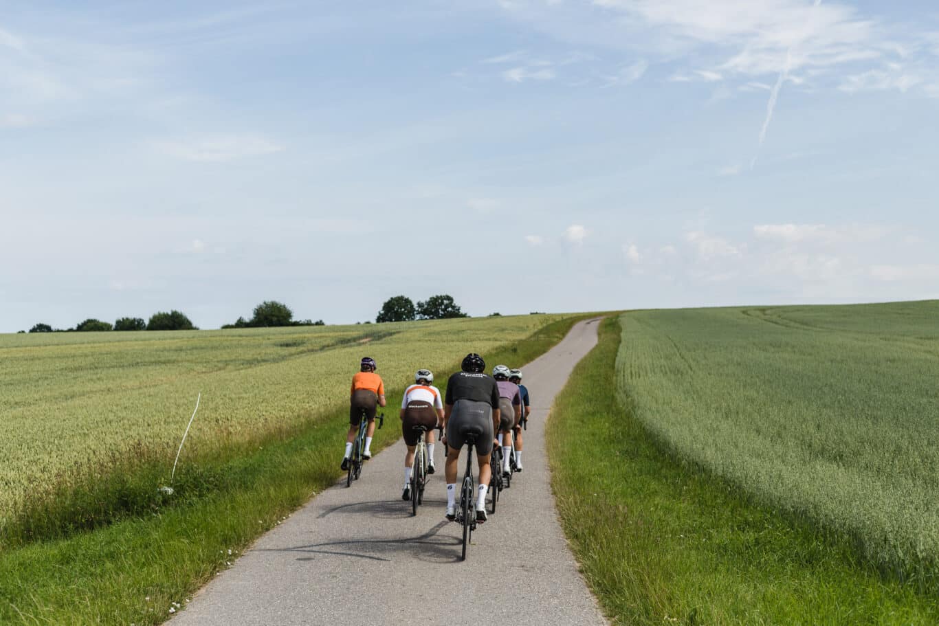 Four riders cycling on a road surrounded by green fields